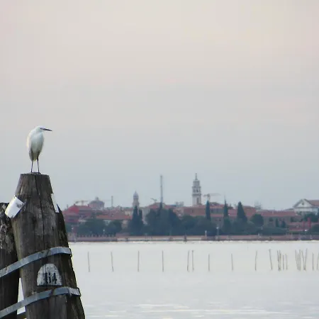 Elisabetta Bed & Breakfast