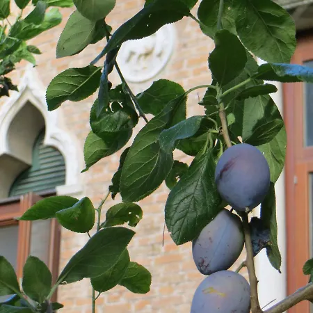 Bed & Breakfast Elisabetta Venezia Lido