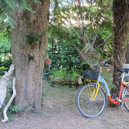 Elisabetta Bed & Breakfast Venezia Lido