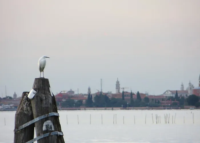 Elisabetta Alojamento de Acomodação e Pequeno-almoço