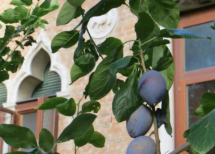 Alojamento de Acomodação e Pequeno-almoço Elisabetta Lido di Venezia
